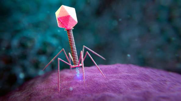 The image depicts a brightly colored, geometric, multi-faceted insect-like figure hovering above a dark, textured surface.

Le contenu généré par l’IA peut être incorrect.