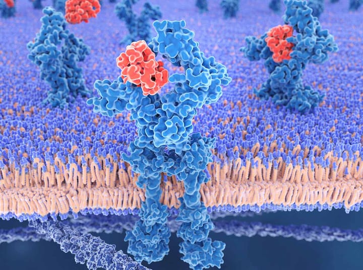 2025: A turbulent year for the biotechnology industry